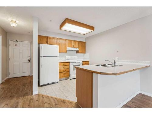 201-3 Parklane Way, Strathmore, AB - Indoor Photo Showing Kitchen With Double Sink