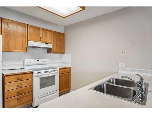 201-3 Parklane Way, Strathmore, AB - Indoor Photo Showing Kitchen With Double Sink