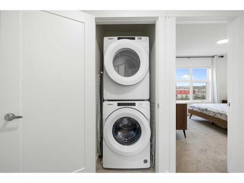 117 Walden Lane Se, Calgary, AB - Indoor Photo Showing Laundry Room