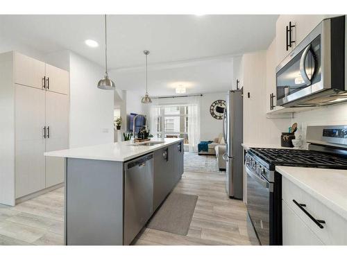 117 Walden Lane Se, Calgary, AB - Indoor Photo Showing Kitchen With Upgraded Kitchen