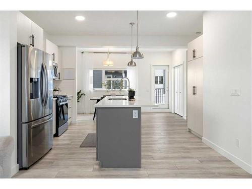 117 Walden Lane Se, Calgary, AB - Indoor Photo Showing Kitchen With Upgraded Kitchen