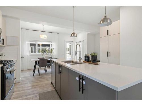 117 Walden Lane Se, Calgary, AB - Indoor Photo Showing Kitchen With Double Sink With Upgraded Kitchen