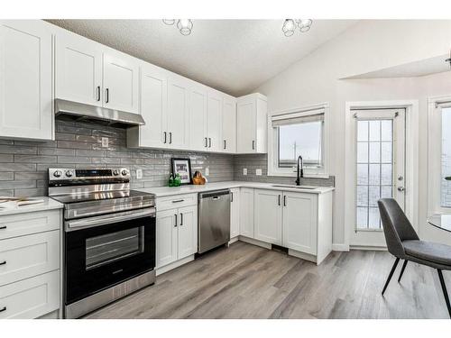 751 Mckenzie Lake Bay Se, Calgary, AB - Indoor Photo Showing Kitchen With Upgraded Kitchen