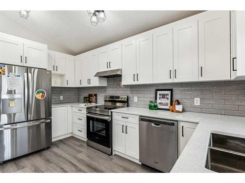 751 Mckenzie Lake Bay Se, Calgary, AB - Indoor Photo Showing Kitchen With Upgraded Kitchen