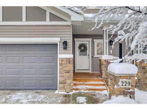 229 Cimarron Drive, Okotoks, AB - Outdoor