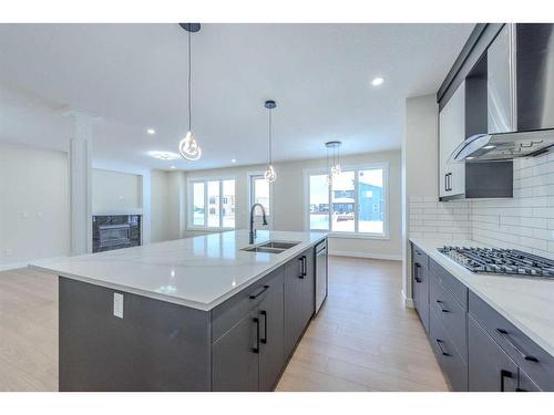 22 North Bridges Landing, Langdon, AB - Indoor Photo Showing Kitchen With Double Sink With Upgraded Kitchen