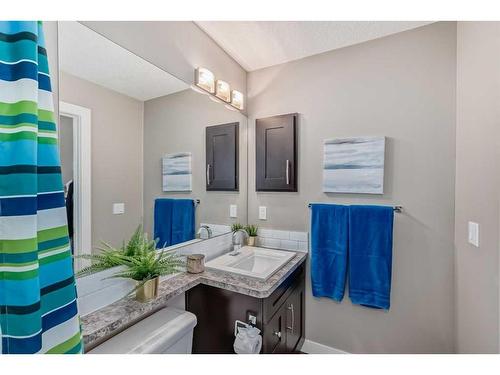 307 Evanston Square Nw, Calgary, AB - Indoor Photo Showing Bathroom