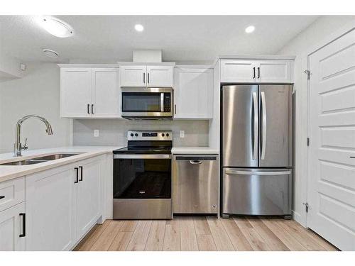 107 Homestead Drive Ne, Calgary, AB - Indoor Photo Showing Kitchen With Double Sink