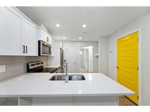 107 Homestead Drive Ne, Calgary, AB - Indoor Photo Showing Kitchen With Double Sink With Upgraded Kitchen