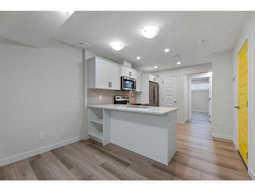 107 Homestead Drive Ne, Calgary, AB - Indoor Photo Showing Kitchen