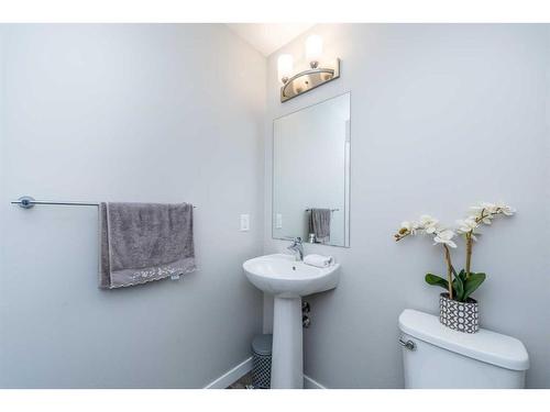 257 Cornerstone Passage Ne, Calgary, AB - Indoor Photo Showing Bathroom