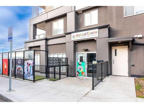 257 Cornerstone Passage Ne, Calgary, AB - Outdoor