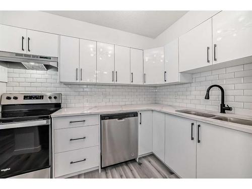 203-145 Point Drive Nw, Calgary, AB - Indoor Photo Showing Kitchen With Double Sink With Upgraded Kitchen