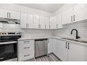 203-145 Point Drive Nw, Calgary, AB  - Indoor Photo Showing Kitchen With Double Sink With Upgraded Kitchen 