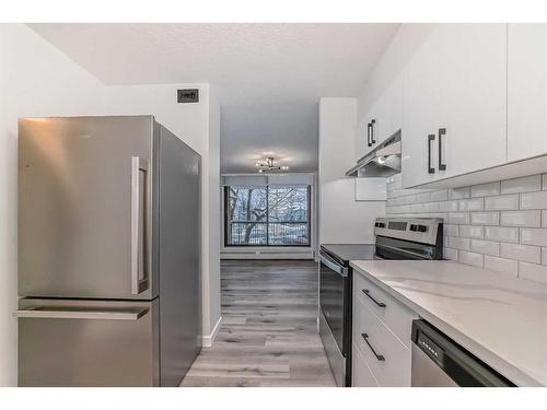 203-145 Point Drive Nw, Calgary, AB - Indoor Photo Showing Kitchen