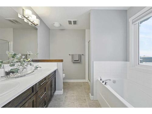 868 Lakewood Circle, Strathmore, AB - Indoor Photo Showing Bathroom