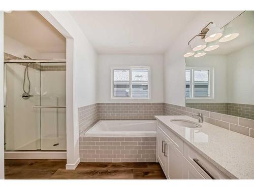 369 Magnolia Way Se, Calgary, AB - Indoor Photo Showing Bathroom