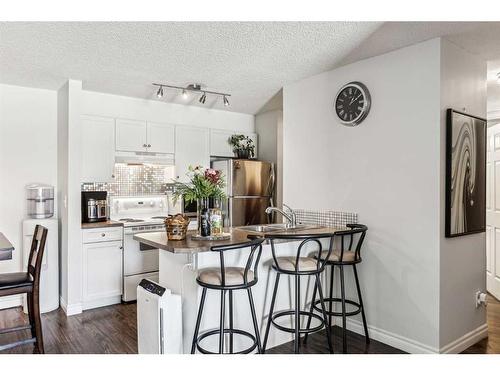 106-5555 Falsbridge Drive Ne, Calgary, AB - Indoor Photo Showing Kitchen