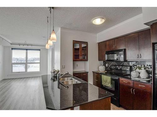 720-8880 Horton Road Sw, Calgary, AB - Indoor Photo Showing Kitchen With Double Sink