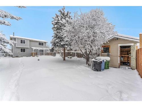 59 Falton Way Ne, Calgary, AB - Outdoor