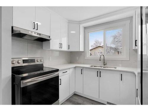 59 Falton Way Ne, Calgary, AB - Indoor Photo Showing Kitchen With Double Sink