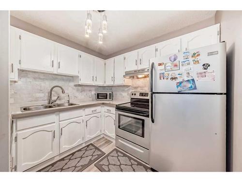 302-1001 68 Avenue Sw, Calgary, AB - Indoor Photo Showing Kitchen With Double Sink