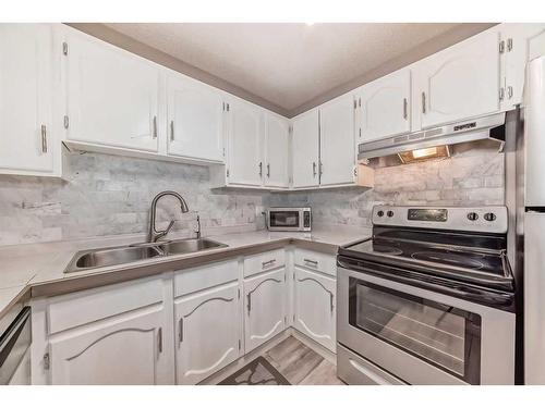 302-1001 68 Avenue Sw, Calgary, AB - Indoor Photo Showing Kitchen With Double Sink