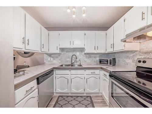 302-1001 68 Avenue Sw, Calgary, AB - Indoor Photo Showing Kitchen With Double Sink