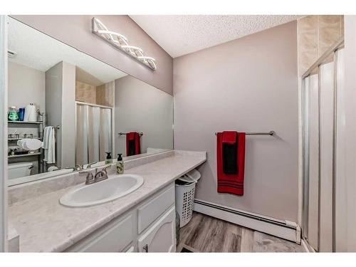 302-1001 68 Avenue Sw, Calgary, AB - Indoor Photo Showing Bathroom