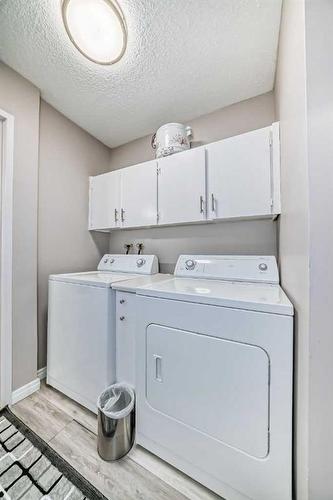 302-1001 68 Avenue Sw, Calgary, AB - Indoor Photo Showing Laundry Room