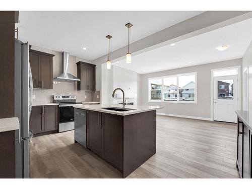 282 Homestead Terrace Ne, Calgary, AB - Indoor Photo Showing Kitchen With Stainless Steel Kitchen With Upgraded Kitchen