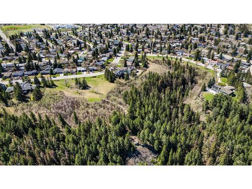 103 Waterloo Drive Sw, Calgary, AB - Outdoor With View