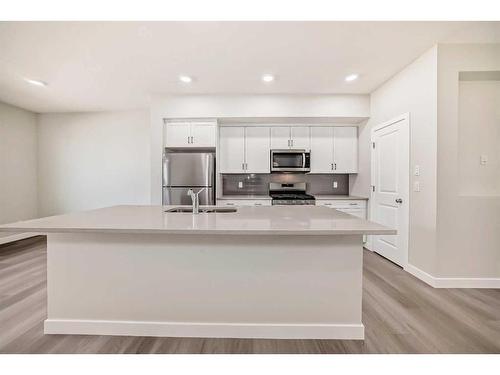 252 Savanna Terrace Ne, Calgary, AB - Indoor Photo Showing Kitchen