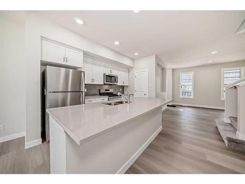 252 Savanna Terrace Ne, Calgary, AB - Indoor Photo Showing Kitchen With Double Sink