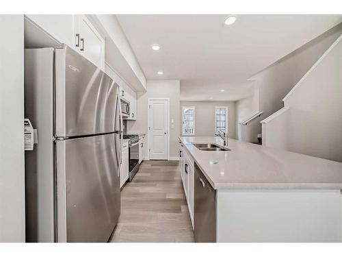 252 Savanna Terrace Ne, Calgary, AB - Indoor Photo Showing Kitchen With Stainless Steel Kitchen With Double Sink