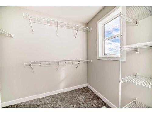 252 Savanna Terrace Ne, Calgary, AB - Indoor With Storage