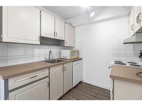 801-314 14 Street Nw, Calgary, AB - Indoor Photo Showing Kitchen