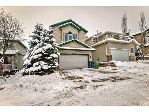 13 Bow Ridge Drive, Cochrane, AB - Outdoor