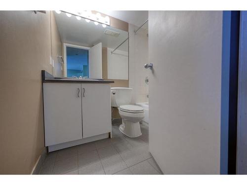 303-317 14 Avenue Sw, Calgary, AB - Indoor Photo Showing Bathroom