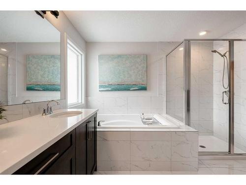 154 Cranbrook Cove, Calgary, AB - Indoor Photo Showing Bathroom