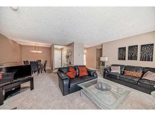 217-2425 90 Avenue Sw, Calgary, AB - Indoor Photo Showing Living Room