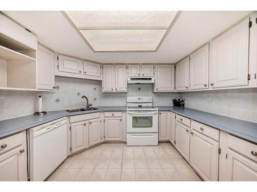 217-2425 90 Avenue Sw, Calgary, AB - Indoor Photo Showing Kitchen