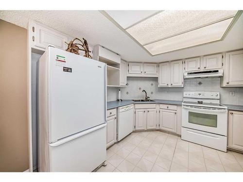 217-2425 90 Avenue Sw, Calgary, AB - Indoor Photo Showing Kitchen