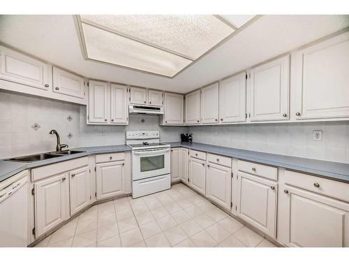 217-2425 90 Avenue Sw, Calgary, AB - Indoor Photo Showing Kitchen With Double Sink