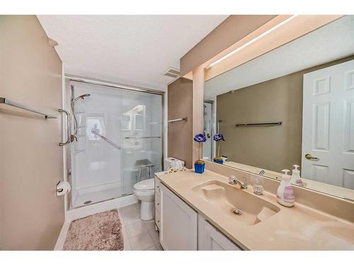 217-2425 90 Avenue Sw, Calgary, AB - Indoor Photo Showing Bathroom