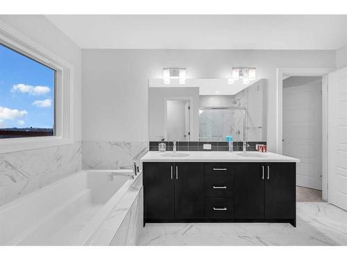 28 Cornerbrook Road Ne, Calgary, AB - Indoor Photo Showing Bathroom