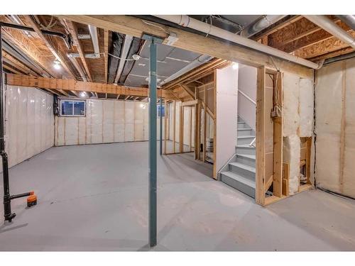 28 Cornerbrook Road Ne, Calgary, AB - Indoor Photo Showing Basement