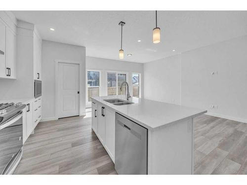 35 Homestead Passage, Calgary, AB - Indoor Photo Showing Kitchen With Double Sink With Upgraded Kitchen