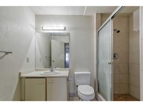 2513-2513 Edenwold Heights Nw, Calgary, AB - Indoor Photo Showing Bathroom