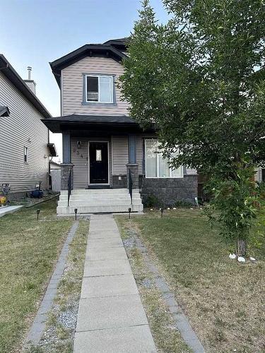 234 Saddlebrook Way Ne, Calgary, AB - Outdoor